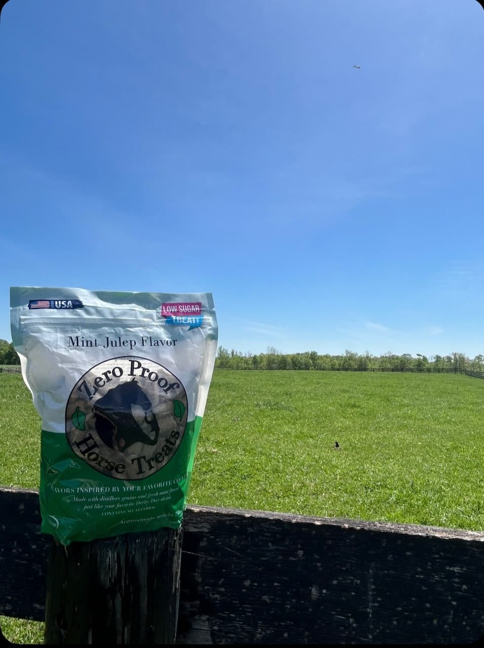 Zero Proof Horse Treats — Mint Julep flavor — on a wooden paddock fence in Lexington, Kentucky